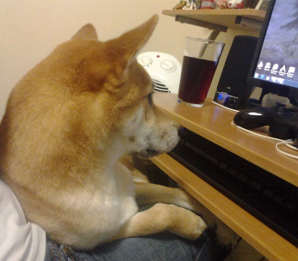 燎原与神启,论团队压制与个人英雄主义的唯一性辩证