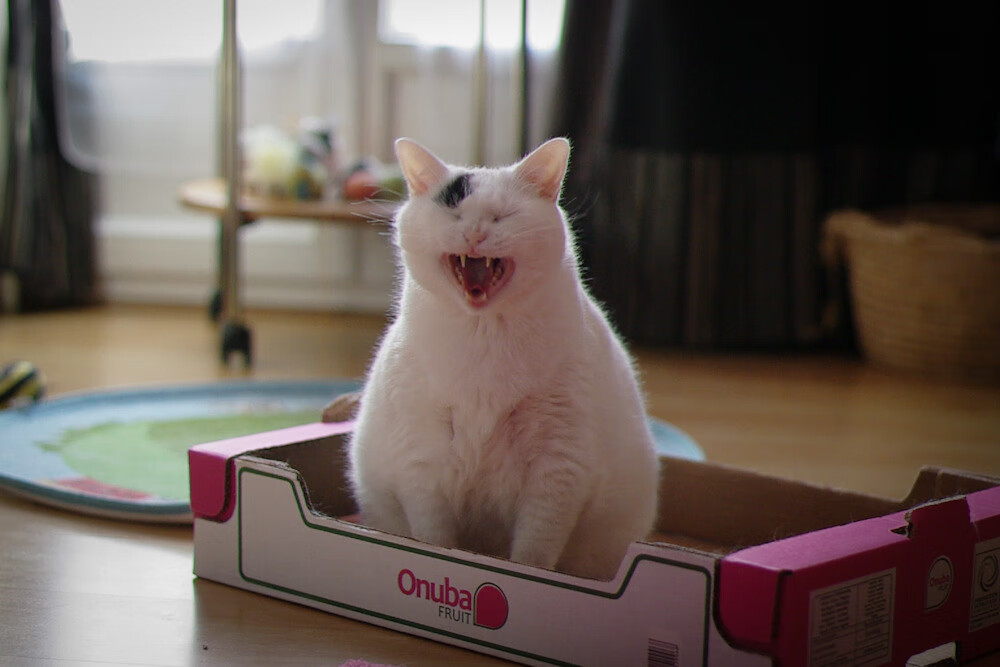 第三节风暴,当鹈鹕用一波流带走热火,贝恩如何悄然成为胜负之手