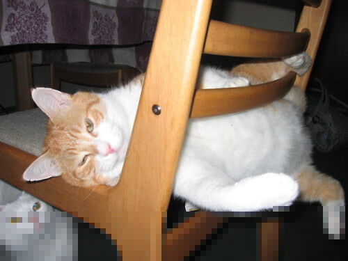 开云体育中国-改写历史的唯一性，塞内加尔决胜局暴走曼城，特奥单点打爆亿元防线