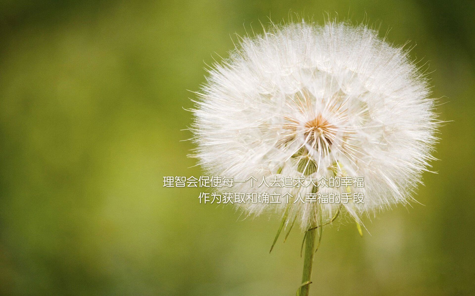 开云体育在线-马克西狂飙40分主宰年度焦点之战，老鹰轻取猛龙迎关键胜利