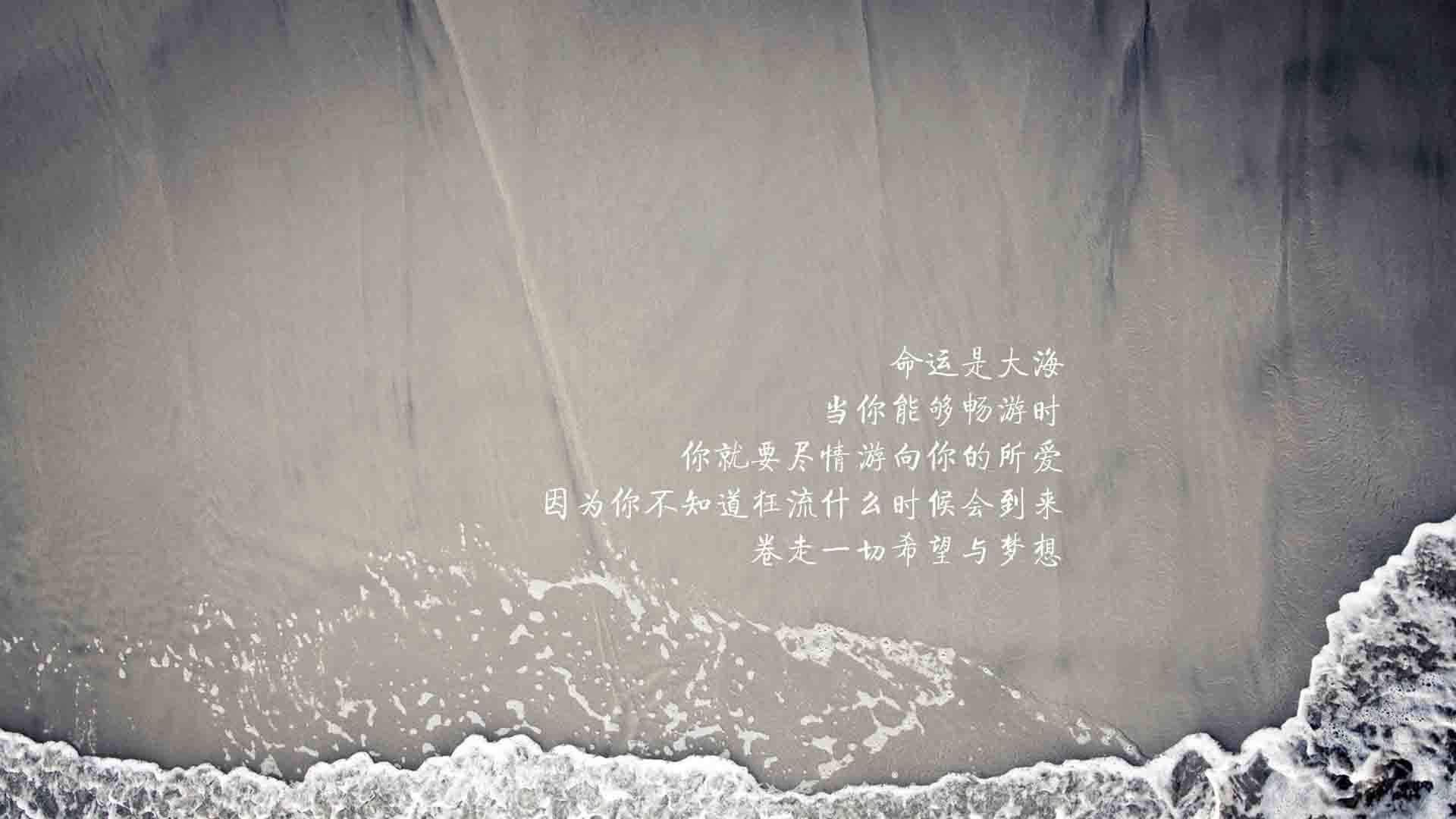 绿茵弦上的唯一断奏曲，当智利的狂想碾压美国的秩序，范戴克用永恒一击打破天穹