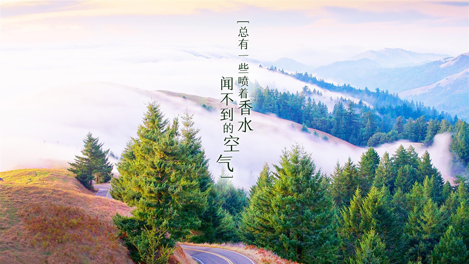 开云体育入口-风暴眼的唯一坐标，当保加利亚的狂飙，成为三笘薰独角戏的底色